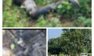 BIG BREAKING: नीमच जिले में बड़ा घटनाक्रम, तीन हिस्सों में मिली अज्ञात व्यक्ति की लाश...! ASP सिसोदिया सहित पुलिस टीम भी मौके पर, मामला सरवानिया चौकी क्षेत्र का, पढ़े ये खबर