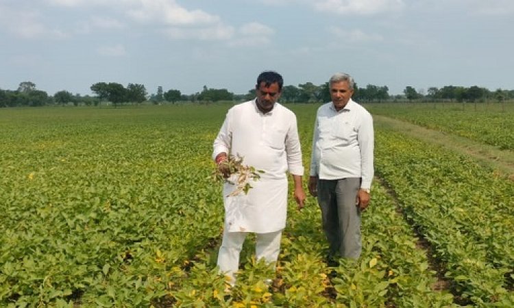 NEWS: अंचल में औसत से कम वर्षा, नष्ट हुई फसलों का उमरावसिंह ने लिया जायजा, फैसला जल्द से जल्द नहीं, तो होगा आंदोलन, पढ़े खबर