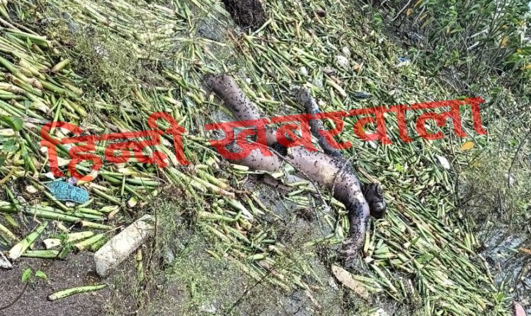 BIG BREAKING: रामपुरा से बड़ी खबर, नदी किनारे ग्रामीणों को दिखी लाश, मची अफरा-तफरी, फिर पुलिस पहुंची मौके पर, आखिर कौन है मृतक...! पढ़े रुपेश सारू की खबर