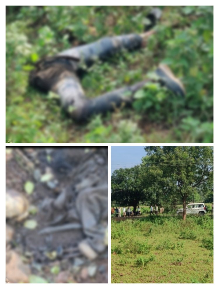 BIG BREAKING: नीमच जिले में बड़ा घटनाक्रम, तीन हिस्सों में मिली अज्ञात व्यक्ति की लाश...! ASP सिसोदिया सहित पुलिस टीम भी मौके पर, मामला सरवानिया चौकी क्षेत्र का, पढ़े ये खबर