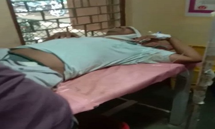OMG ! सिंगोली में बीच चौराहे पर भिड़े लालू-कालू...! फिर युवक को भी लिया चपेट में, कर दी ऐसी हालत, की जिला अस्पताल किया रैफर, पढ़े ये खबर