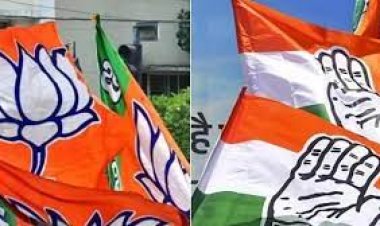 MP ELACATION  : भाजपा प्रत्याक्षी दिलीप सिंह परिहार,कांग्रेस प्रत्याक्षी उमराव सिंह, नीमच विधानसभा में बुधवार को करेंगे इन गांव में जनसम्पर्क,  पढ़े खबर