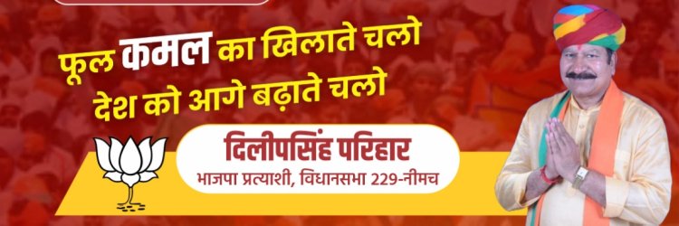 NEWS- बीजेपी प्रत्याक्षी दिलीप सिंह परिहार कल दक्षिण मंडल के इन गाँवो में करेंगे जनसम्पर्क,लेंगे जनता का आशीर्वाद,पढ़े खबर