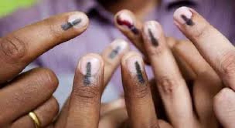 ELECTION NEWS  : नीमच मंदसौर जिले में भरपूर मतदान, सर्वाधिक इन विधानसभा में, देखे कहा कितने वोट गिरे, पढे ये खास खबर