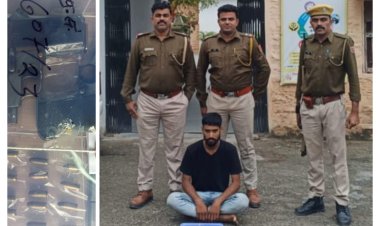 BIG NEWS : पिस्टल बेचने की फ़िराक में निम्बाहेड़ा का मोनू,पर लग गई पुलिस को भनक,फिर यु पकड़ा धकड़ी मची,ओर धरा गया आरोपी युवक,पढ़े खबर