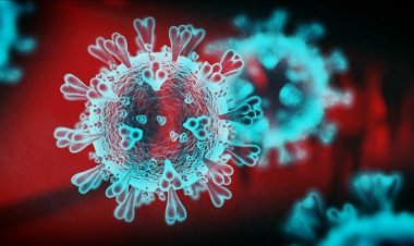 BIG NEWS: पहले इंदौर व जबलपुर, अब भोपाल में भी मिले कोरोना संक्रमित, इतने मरीजों की पुष्टि, स्वास्थ्य विभाग अलर्ट, उच्च स्तर पर मॉनिटरिंग, सावधानी है जरूरी...! पढ़े खबर