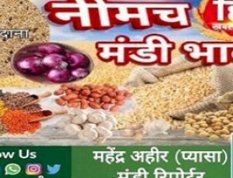 NEEMUCH MANDI : आज के मंडी भाव, धनिया एवं उड़द की बंपर आवक, इन उपज के भाव बढ़े, तो इनमे आई गिरावट, किसके क्या भाव देखे महेंद्र अहीर (प्यासा) की इस रिपोर्ट में