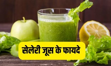 HELTH TIPS: सर्दियों के मौसम में त्वचा के लिए किसी रामबाण से कम नहीं ये जूस, रोजाना करें डाइट में शामिल, होंगे कई फायदे...! क्लिक करें और देखें 