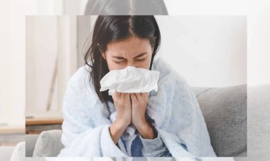 HELTH TIPS : ठंड में इन चीजों का सेवन से बचें, स्वास्थ्य के लिए रहेगा फायदेमंद...! क्लिक करें और देखें