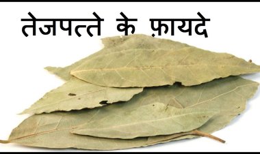 HEALTH TIPS : मोटापे से है परेशान..? हृदय रोगी के लिए रामबाण इलाज, सुबह-सुबह अपनाये यह फार्मूला, मिलेंगे कई फायदे, कोनसा है व नुस्खा, पढ़े इस खबर में