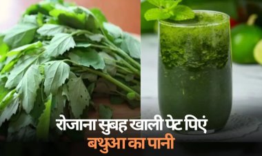 HEALTH TIPS : सर्दियों में बेहद फायदेमंद है बथुआ का पानी, रोजाना खाली पेट पिएं, हेल्थ सहित बीमारियों के लिए भी असरदार, मिलेंगे अनेक फायदे...! क्लिक करें और देखें 