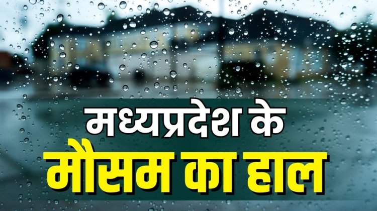 WEATHER UPDATE : एमपी में मौसम ने ली करवट, इन जिलों में घने कोहरे का अलर्ट, तो यहां बारिश के साथ ओले गिरने के भी आसार, नीमच-मंदसौर का नाम भी शामिल...! क्या फिर शुरू होगी कंपकपाती ठंड, पढ़े खबर