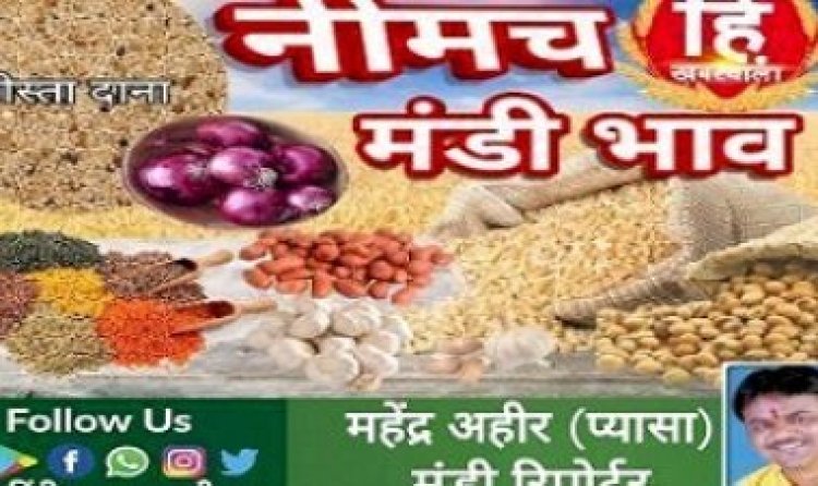NEEMUCH MANDI : नीमच मंडी में अजवाइन एवं चना तेज, पोस्ता नरम, आज किस जींस के भाव में आई गिरावट, और किसके भाव रहे तेज, देखें महेन्द्र अहीर (प्यासा) की इस रिपोर्ट में