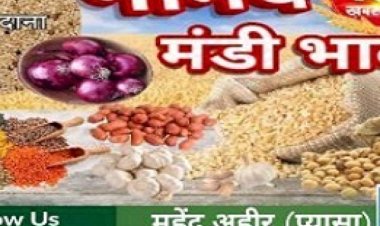 NEEMUCH MANDI : नीमच मंडी में अलसी एवं गेंहू तेज, उड़द नरम, आज किस जींस के भाव में आई गिरावट, और किसके भाव रहे तेज, देखें महेन्द्र अहीर (प्यासा) की इस रिपोर्ट में