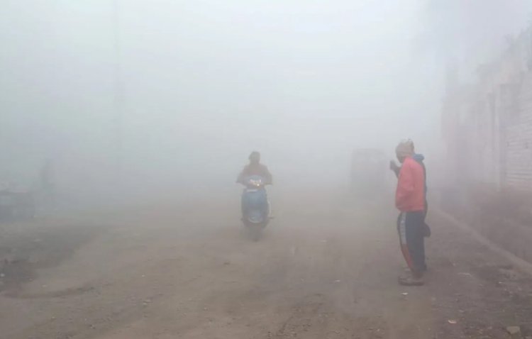 WEATHER ALERT : एमपी में मौसम की करवट...! इन जिलों में छाएगा कोहरा, तो यहां मिलेगी ठण्ड से राहत, क्या है IMD का पूर्वानुमान, पढ़े खबर