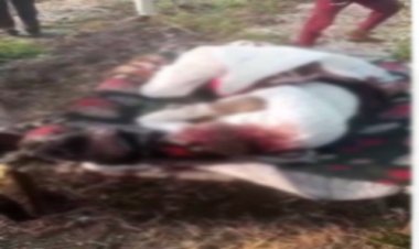 OMG ! रात को घर से निकला किसान, सुबह खेत में मिली लाश, धारदार हथियार से कर डाली जघन्य हत्या, क्या इरादा चोरी का, या लहसुन की रखवाली बना मौत का कारण...! पढ़े ये खबर