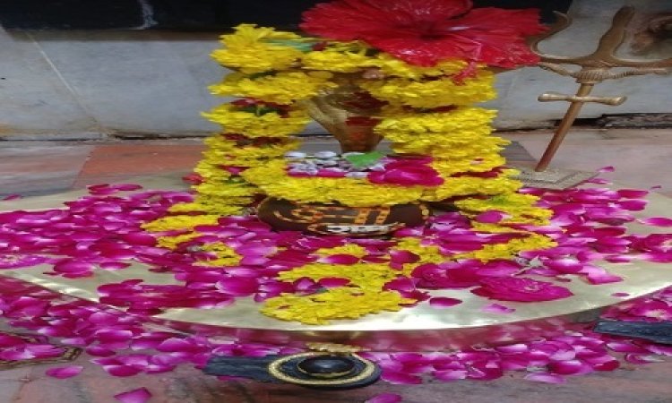 NEWS: महाशिवरात्रि पर्व, नगर भ्रमण पर निकलेंगे सोमनाथ महादेव, भक्तों को देंगे दर्शन, ऐतिहासिक रहेगी शाही सवारी, क्या कुछ रहेगा खास, पढ़े मनीष जोलान्या की खबर