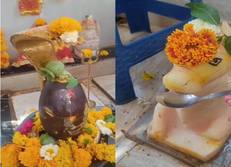 NEWS: नीमच में यहां नंदी ने पिया जल, तो उमड़ पड़ी भक्तों की भीड़, फिर घंटों तक चला पूजा-अर्चना का सिलसिला, पढ़े खबर