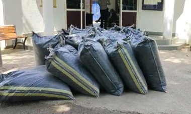 BIG NEWS : ट्रैक्टर-ट्रॉली में मादक पदार्थ की तस्करी, सुचना पर भैसोदामंडी चौकी पुलिस की कार्यवाही, डोडाचूरा की खैप जप्त, आरोपी भी गिरफ्तार, पढ़े खबर