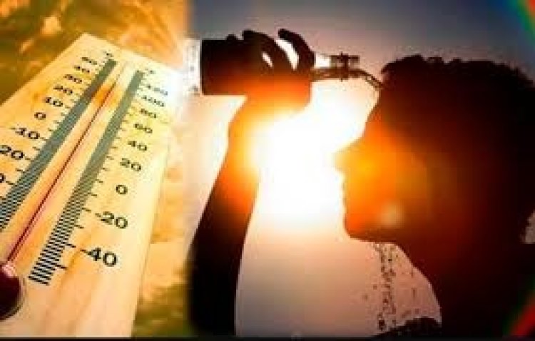 NEWS : भीषण गर्मी का दौर, चल रही गर्म हवाएं, जिला प्रशासन ने की एडवाइजरी जारी, विभिन्न विभागों को किया अलर्ट, पढ़े खबर