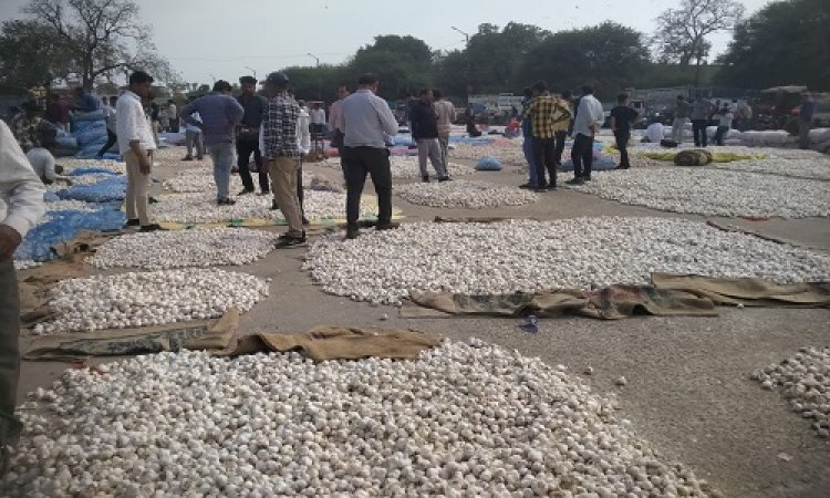 NEWS : मंडी में व्यवस्थाएं हुई दुरुस्त, सचिव की मेहनत लाई रंग, किसानों के लिए ये सुविधाएं, तो अब इनका प्रवेश हुआ बंद, पढ़े महेंद्र अहीर की खबर