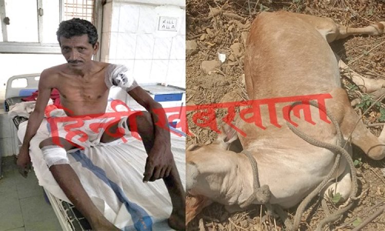 OMG ! रामपुरा क्षेत्र में खूंखार जानवर की दस्तक, आज इन्हें बनाया निशाना, पीछे से यूं किया हमला, दशहत में ग्रामीण, क्या है पूरा मामला, पढ़े रुपेश सारू की खबर