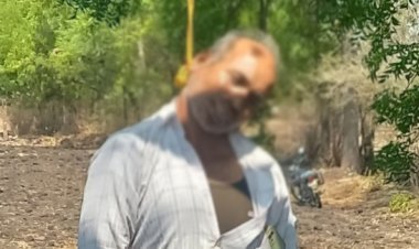 BIG BREAKING : हरसोला गांव में कैलाशचंद्र ने किया सुसाइड, खेत में पेड़ पर लटका मिला शव, नारायणगढ़ पुलिस जांच में जुटी, पढ़े नरेंद्र राठौर की खबर