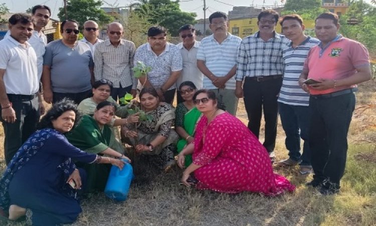 NEWS : विश्व पर्यावरण दिवस, NSSG ग्रुप ने लगाये नीम व पीपल के पौधे, खण्डेलवाल बोले- पौधारोपण के बाद देखभाल कर बड़ा भी करें, पढ़े खबर
