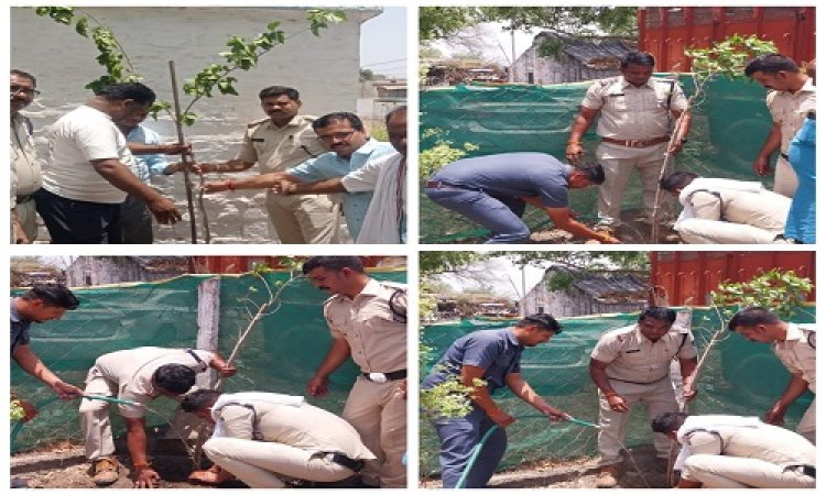 NEWS : विश्व पर्यावरण दिवस, मंदसौर के इस थाने और चौकी पर किया पौधरोपण, पुलिस अधिकारियों-कर्मचारियों ने लिया ये संकल्प, पढ़े खबर