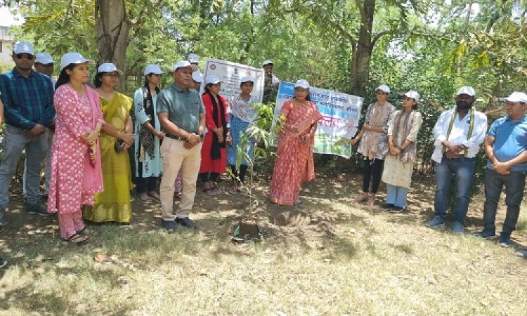 NEWS : विश्व पर्यावरण दिवस, चालों भविष्य सुरक्षित बनाएं, जरा एक-एक वृक्ष तो लगाएं, भूमि पुनर्स्थापना थीम, जाजू कन्या महाविद्यालय में किया पौधरोपण, दिया ये संदेश, पढ़े खबर