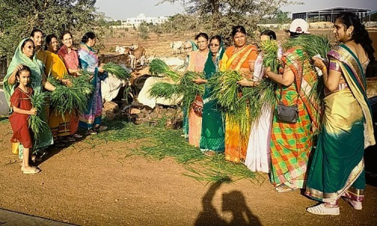 NEWS : महिलाओं ने गौ-माता का पूजन कर मनाया महेश नवमी पर्व, भारतीय सनातन संस्कृति में गौसेवा का अमूल्य योगदान, ये महिलाएं रही मौजूद, पढ़े खबर
