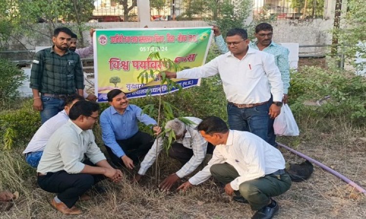 NEWS : विश्व पर्यावरण दिवस, जिला कलेक्टर जैन ने अधिकारियों के साथ किया पौधारोपण, कलेक्ट्रेट एवं जिला पंचायत परिसर में पौधे लगाकर दिया ये संदेश, पढ़े खबर