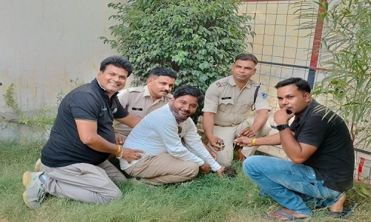 NEWS : विश्व पर्यावरण दिवस, पिपलियामंडी चौकी में पुलिस एवं पत्रकारों ने किया पौधरोपण, हरियाली के साथ दिया जरुरी संदेश, या संकल्प भी लिया, पढ़े खबर