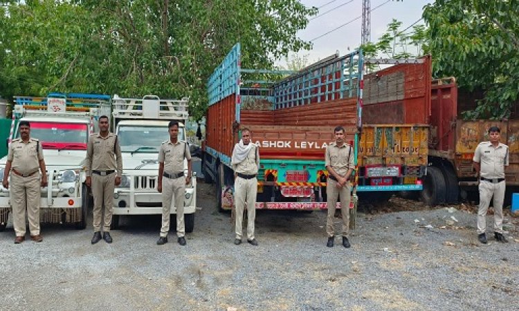 BIG NEWS : गौवंश तस्करी में किया जिसका उपयोग, अब वहीं वाहन होंगे राजसात, फिर होगी नीलामी, कंटेनर, ट्रक और पिकअप शामिल, तो इस बड़े काम में भी लगी नीमच पुलिस की स्पेशल टीम, पढ़े खबर