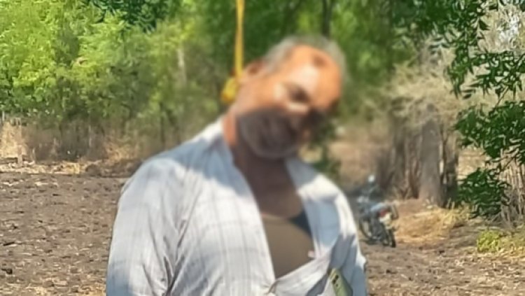 BIG BREAKING : हरसोला गांव में कैलाशचंद्र ने किया सुसाइड, खेत में पेड़ पर लटका मिला शव, नारायणगढ़ पुलिस जांच में जुटी, पढ़े नरेंद्र राठौर की खबर