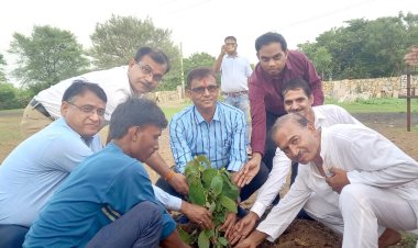 NEWS: जे के सीमेन्ट के सहयोग से कल्याण गौशाला में किया पौधारोपण, सहेजने का लिया संकल्प, पढ़े खबर