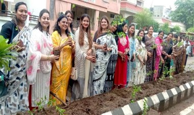 NEWS : हरित नीमच अभियान, नपाध्‍यक्ष चौपड़ा का नेतृत्‍व, और 'जीटो' संस्‍था की महिलाओं का बड़ा कदम, शहर के इस क्षेत्र में किया पौधरोपण, फिर लगाएं ट्री-गार्ड, पढ़े खबर