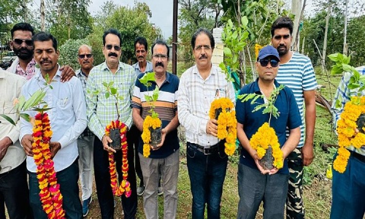 NEWS : मनासा विद्युत केंद्र पर मनाया स्थापना दिवस, इनके जन्मदिन पर किया पौधारोपण, पढ़े मनीष जोलान्या की खबर