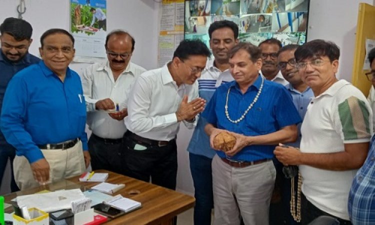 NEWS : मनासा में रोटरी क्लब का रक्तदान शिविर, इन्होंने बढ़-चढ़कर लिया हिस्सा, फिर डॉक्टरों का किया सम्मान, पढ़े खबर