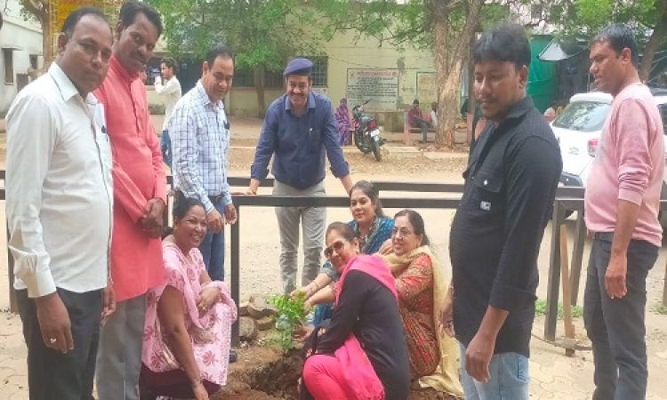 NEWS : एक पौधा शुद्ध हवा का, आराध्या की बड़ी पहल, जिला अस्पताल क्षेत्र में लगाएं ट्री-गार्ड, और किया पौधरोपण, डॉक्टर महेंद्र पाटिल बोले- पौधे लगाकर उसे बड़ा करने का करें प्रयास, पढ़े खबर