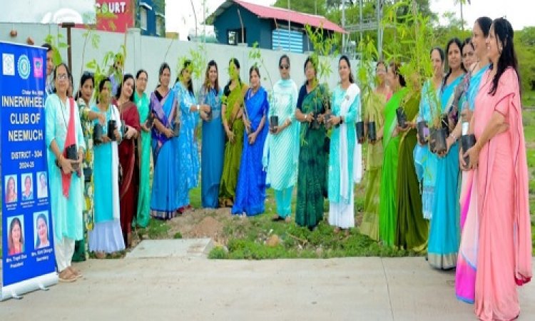 NEWS : इनरव्हील क्लब के सामाजिक सरोकार, गायों को खिलाया चारा, पौधारोपण भी किया, इनका रहा आर्थिक सहयोग, पढ़े खबर
