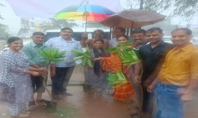 NEWS : NSSG ग्रीन बेल्ट की तीसरी वर्षगांठ, फेस 3 का शुभारंभ, झमाझम बारिश में ग्रीन बेल्ट में रौपे पौधे, क्या बोले अतिथि, पढ़े ये खबर