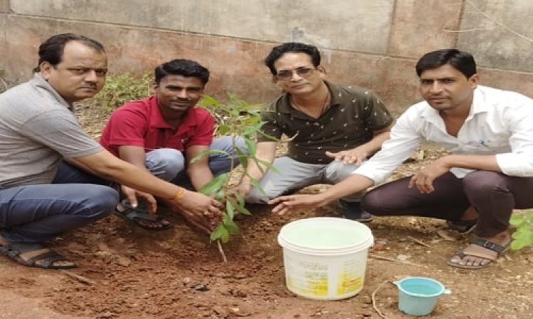 NEWS : अंतर्राष्ट्रीय सहकारिता दिवस, नीमच जिले की विभिन्न बैंक शाखाओं में किया पौधरोपण, सुरक्षा के साथ सहेजने का लिया संकल्प, पढ़े खबर