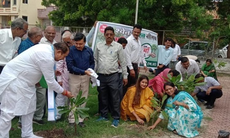 BIG NEWS : एक पेड़ मां के नाम अभियान, विधायक व नपाध्यक्ष ने ग्रीनबेल्ट व अमृत गार्डन में किया पौधारोपण, जिला कलेक्टर के मार्गदर्शन में रौपे 10 हजार से अधिक पौधे, पढ़े खबर