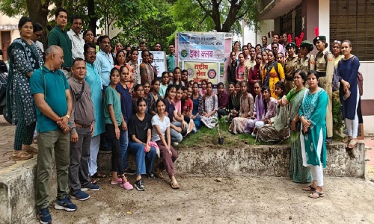 NEWS : श्वेत हरित नीमच अभियान, जाजू कन्या महाविद्यालय में रौपे चंपा के पौधे, यहां खिले सफेद सुंदर एवं खुशबूदार फूलों के पौधे, पढ़े खबर