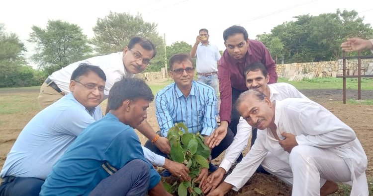 NEWS: जे के सीमेन्ट के सहयोग से कल्याण गौशाला में किया पौधारोपण, सहेजने का लिया संकल्प, पढ़े खबर