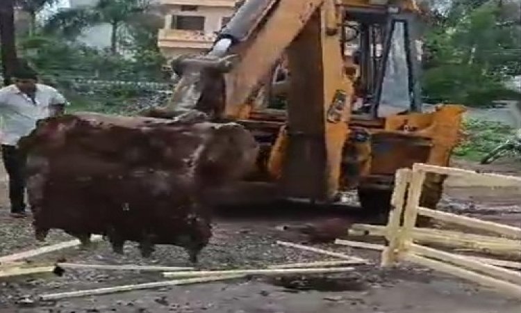 BIG NEWS : मनासा नगर परिषद के कर्मचारियों ने सेफ्टी वाल उखाड़ा, कॉलोनी के रहवासियों में आक्रोश, शिकायत पहुंची यहां, खोल दी कालोनाइजर की पोल, पढ़े मनीष जोलान्या की खबर