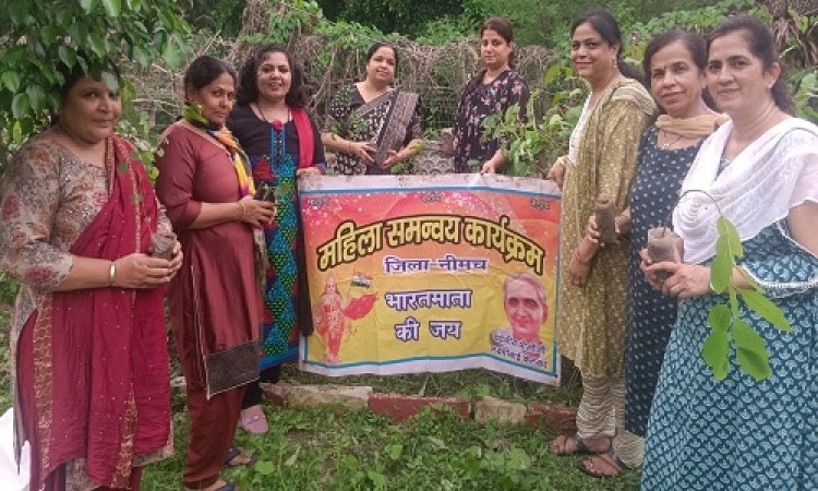 NEWS : एक पेड़ मां के नाम अभियान, महिला समन्वय शाखा ने किया पौधारोपण, जिला संयोजिका लक्ष्मी प्रेमाणी ने कहां- वन मानव स्वास्थ्य के लिए बेहद जरुरी, पढ़े खबर