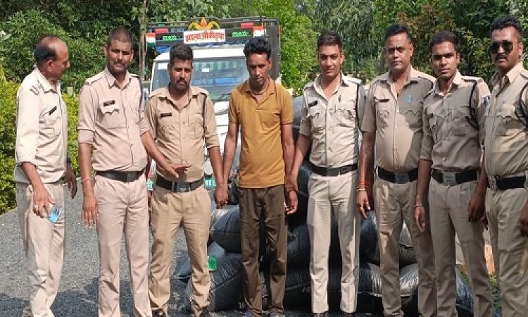 BIG NEWS : मादक पदार्थ की स्मगलिंग में धराया जावद का युवक, नीमच पार्सिंग पिकअप भी जप्त, नाकाबंदी में जीरन पुलिस की बड़ी कार्यवाही, अब पूछताछ में प्रेमचंद उगलेगा राज, धामनिया गांव से जुड़े तार, पढ़े खबर