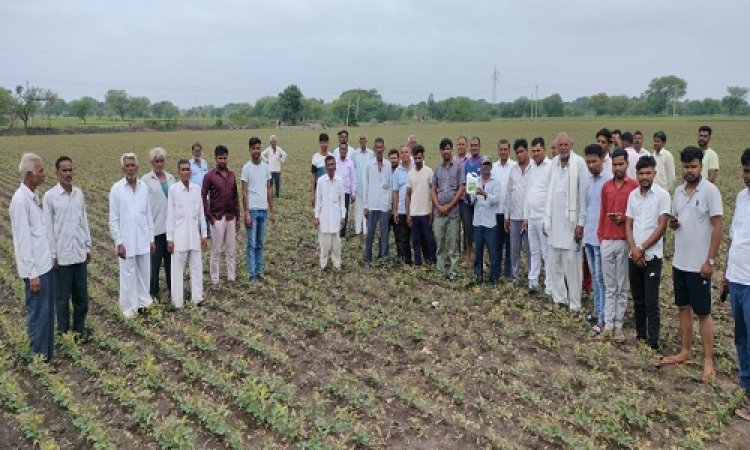 NEWS : खेत में दवां का छिड़काव, फिर सोयाबीन की फसल हुई नष्ट, किसानों ने इस दुकानदार पर लगाएं आरोप, अब यहां पहुंची शिकायत, पढ़े नरेंद्र राठौर की खबर